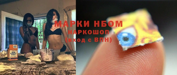 мет Алексин