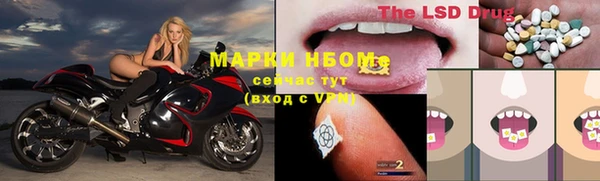 крисы Алзамай