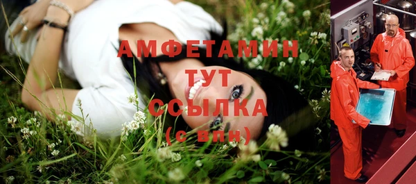 мет Алексин